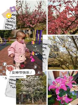 李春梅_看图王